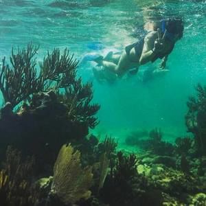 Meet your Posher, Jean ellen